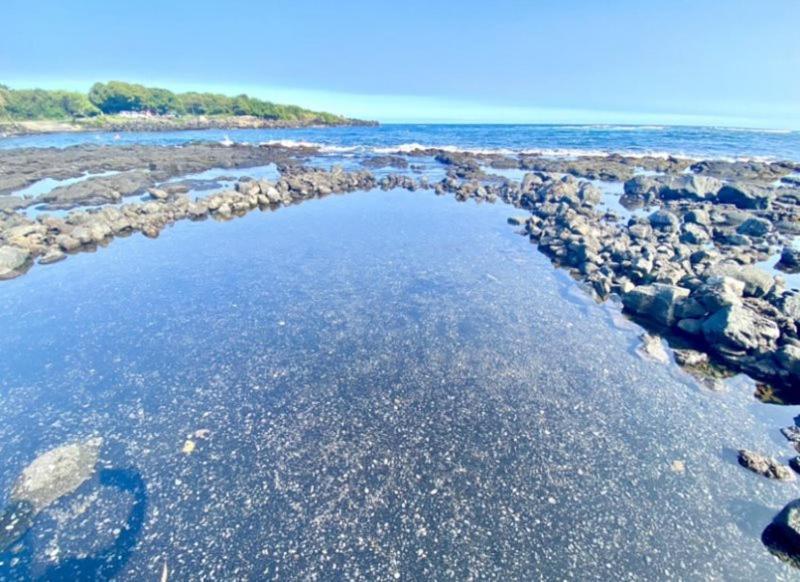 Charming 1 Bedroom Beach Condo Prime Location Great Value Pahala Екстер'єр фото